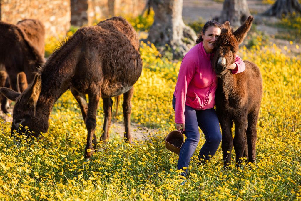 Teima, Alentejo Sw Guest House Sao Teotonio Ngoại thất bức ảnh