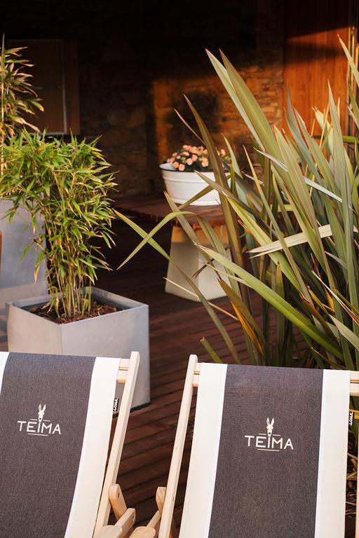 Teima, Alentejo Sw Guest House Sao Teotonio Ngoại thất bức ảnh